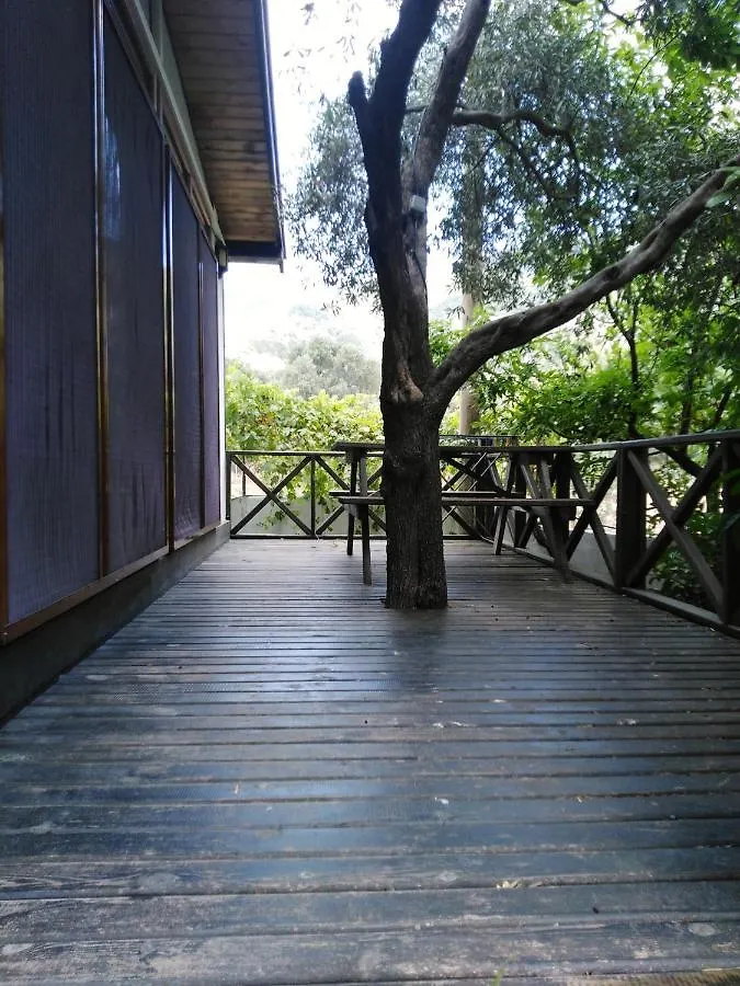 Sayfiye Butik Otel Ekincik
